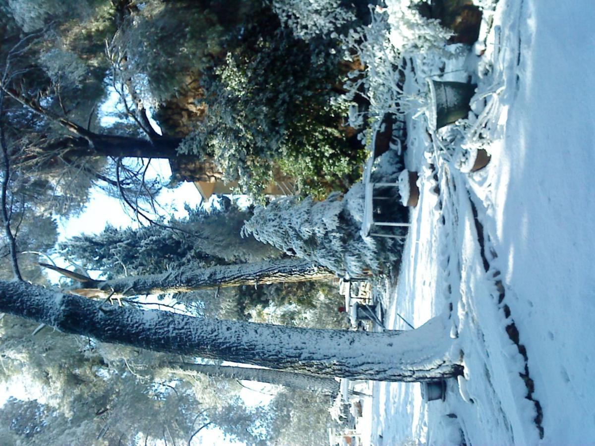 Safed Inn エクステリア 写真
