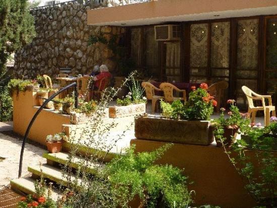 Safed Inn エクステリア 写真