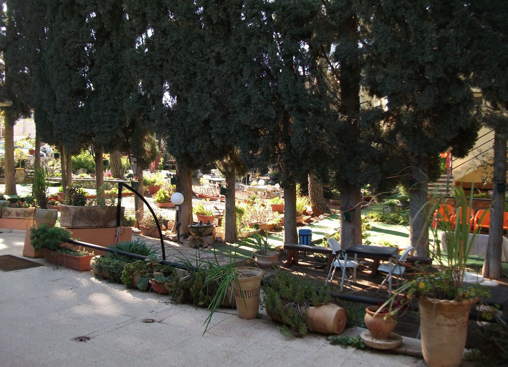 Safed Inn エクステリア 写真