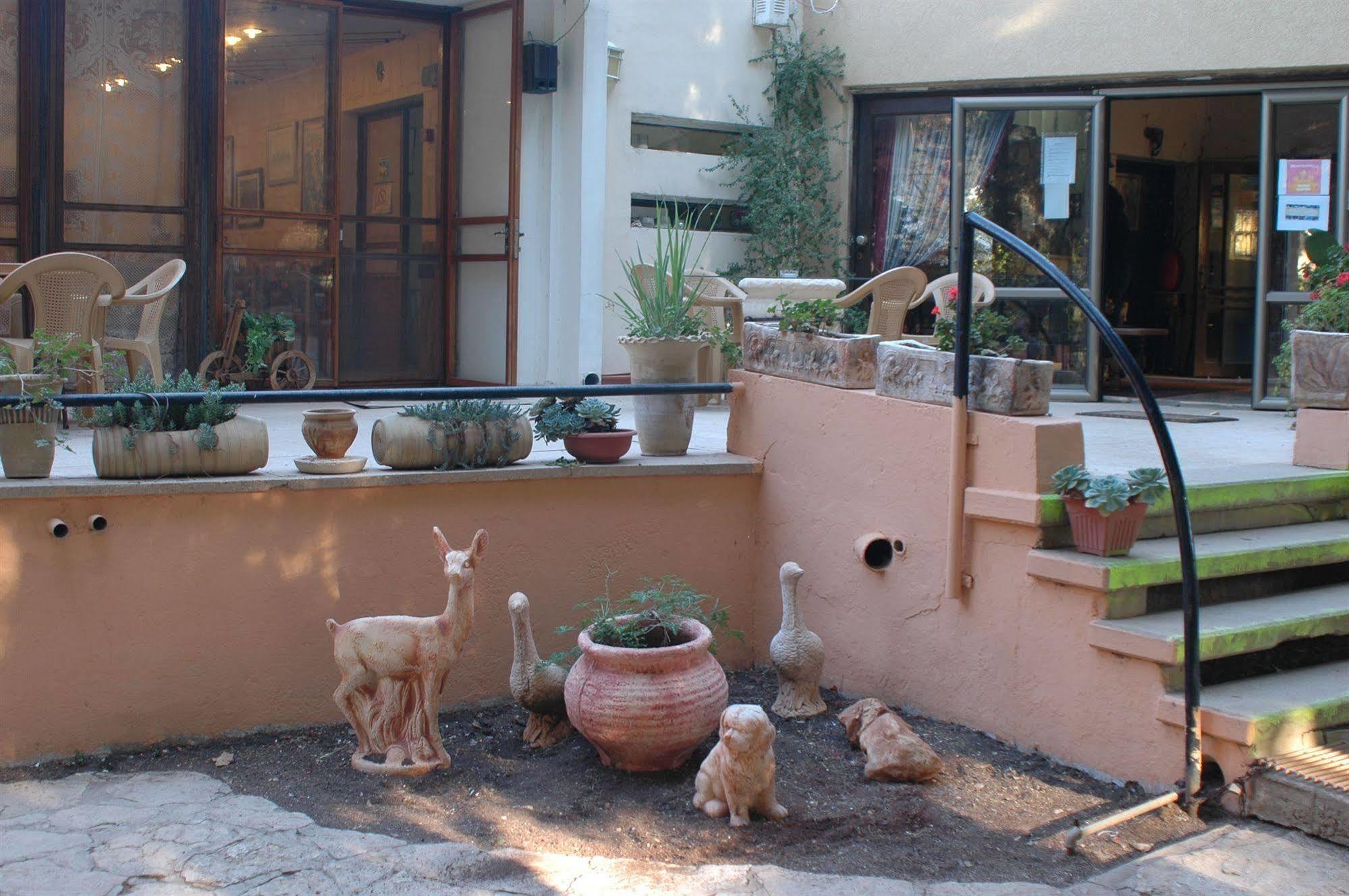 Safed Inn エクステリア 写真